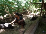 SAM_0592