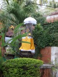 SAM_0703