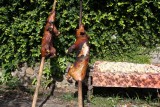 IMG_9373
