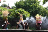 IMG_9436
