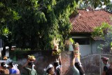 IMG_9437