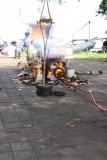 IMG_9463