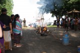 IMG_9464