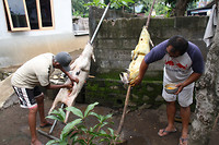 IMG_0625