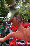 IMG_0729