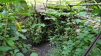 20170403_154245