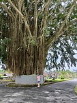 IMG-20221016-WA0046