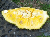 IMG-20230909-WA0002