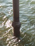 IMG-20230909-WA0010