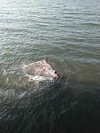 IMG-20230909-WA0009