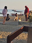 20260927_064344