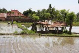 IMG_8641