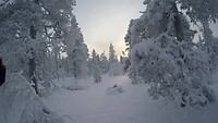 sneeuwschoenwandelen