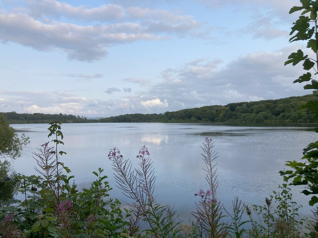 Mosvatnet bij de camping
