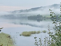 Ochtendnevel