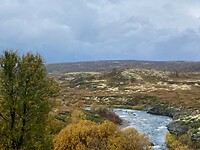 Dovrefjell