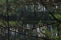 Dubbele streepjescode
