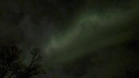 20260126 (16)