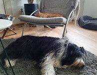 Noor op logeeradres