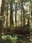 45080872-F111-4D24-A662-FAE1046B77F3