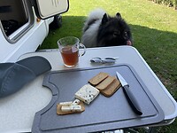 IMG_7527