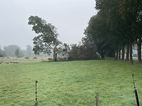 IMG_7531