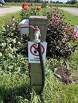 IMG_7534