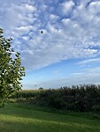 IMG_7538