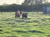IMG_7572