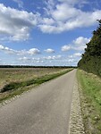 IMG_7568