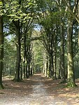 IMG_7589