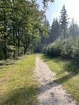IMG_7588