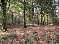 IMG_7587