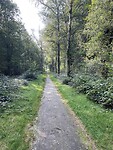IMG_7586