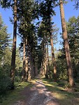 IMG_7597