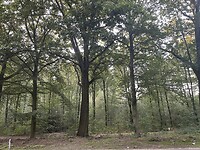 IMG_7601