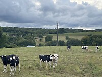 IMG_8318