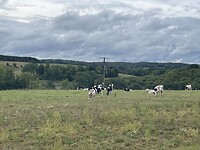 IMG_8317