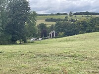 IMG_8316