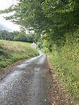 IMG_8312