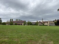 IMG_8335