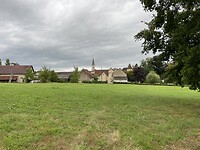 IMG_8337