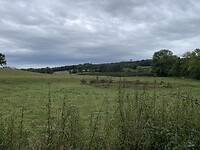 IMG_8339