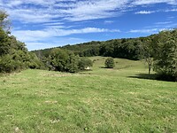 IMG_8364