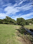 IMG_8363