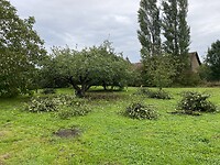 IMG_8389