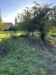 IMG_8403