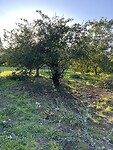 IMG_8402