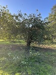 IMG_8400
