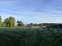 IMG_8405